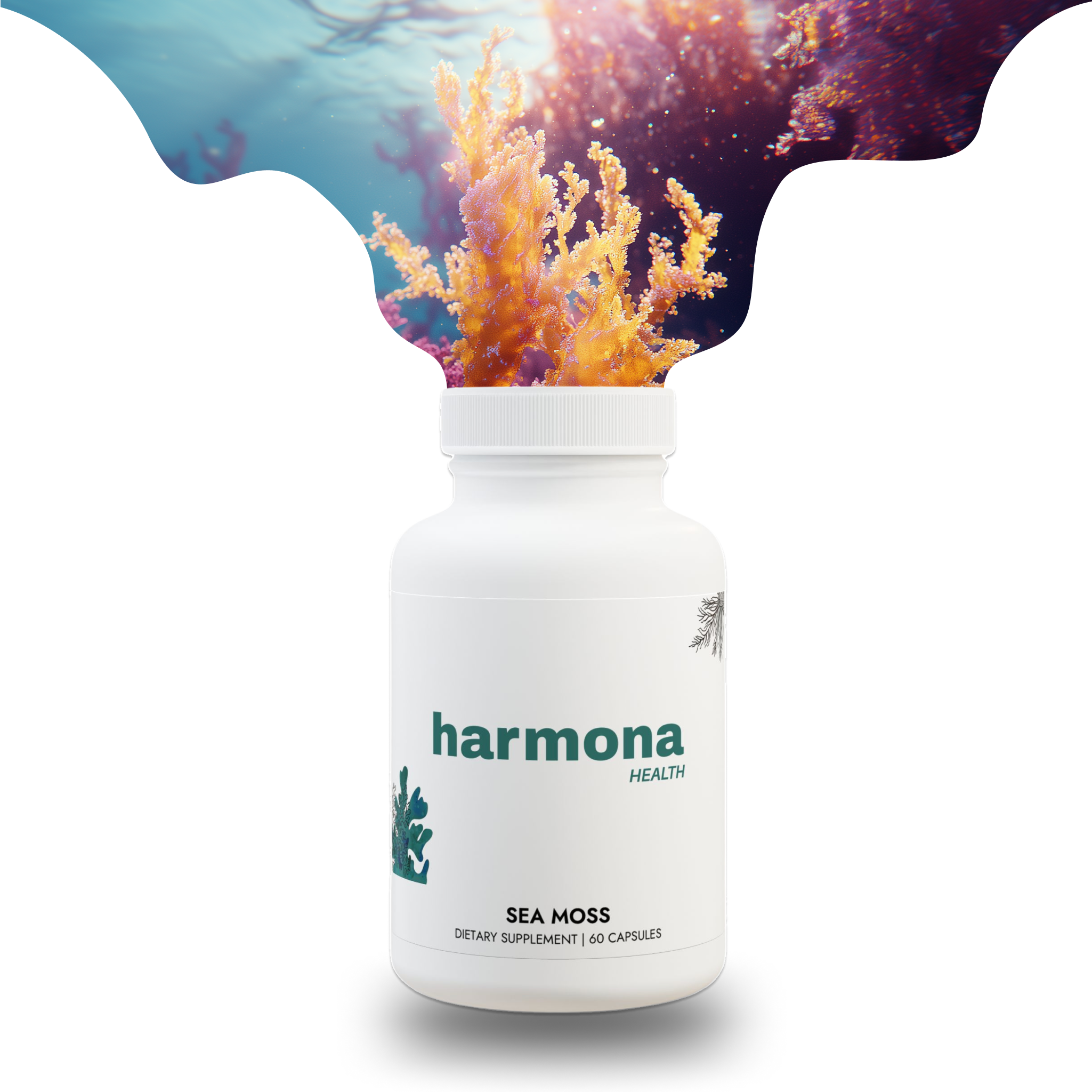 Sea Moss Supplement (60 Capsules)