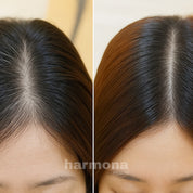 Aurora Brush for Hair Growth & Scalp Care